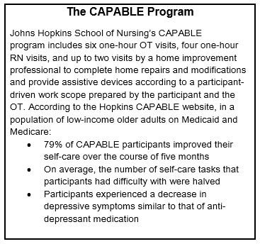 The CAPABLE Program