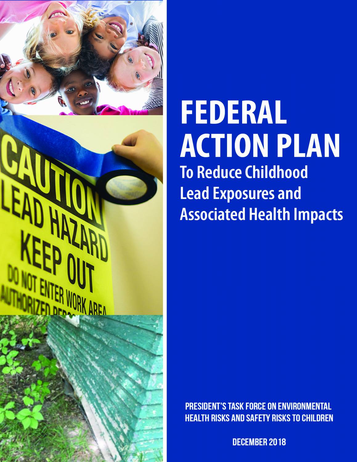 Federal Action Plan to Reduce Childhood Lead Exposures and Associated Health Impacts [2018 Edition]