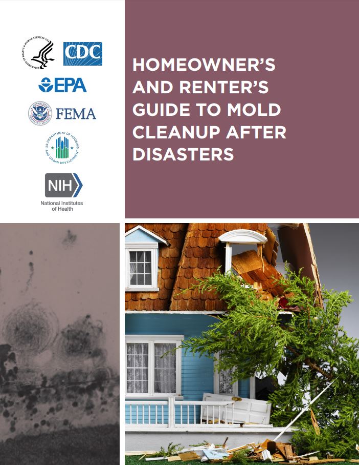 Homeowner's and Renter's Guide to Mold Cleanup After Disasters