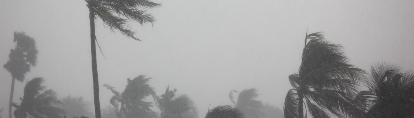 Secretaris zin Lengtegraad Hurricanes | NCHH