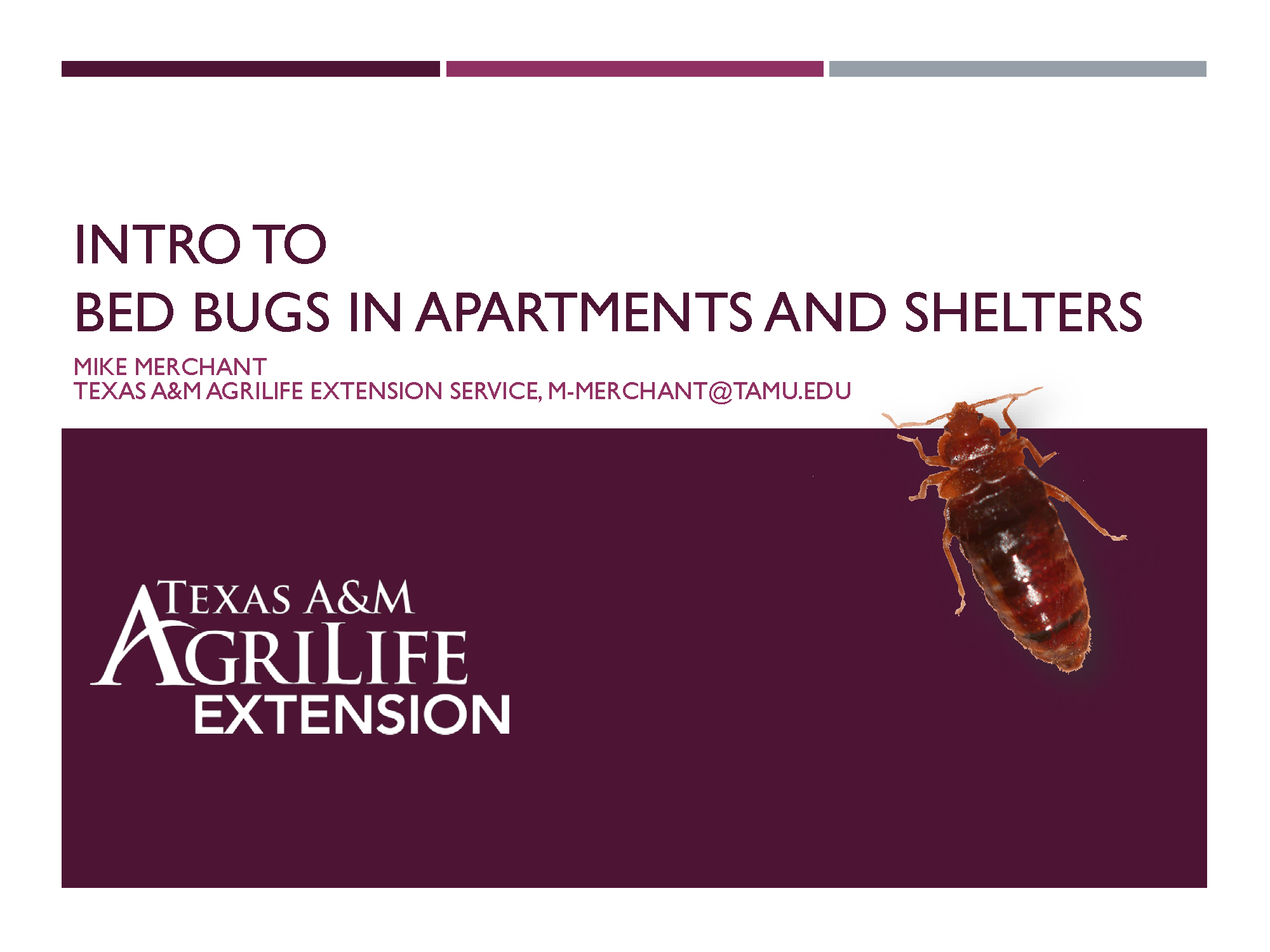 Texas A&M Agrilife Extension - Intro to Bed Bugs in Apartments and Shelters